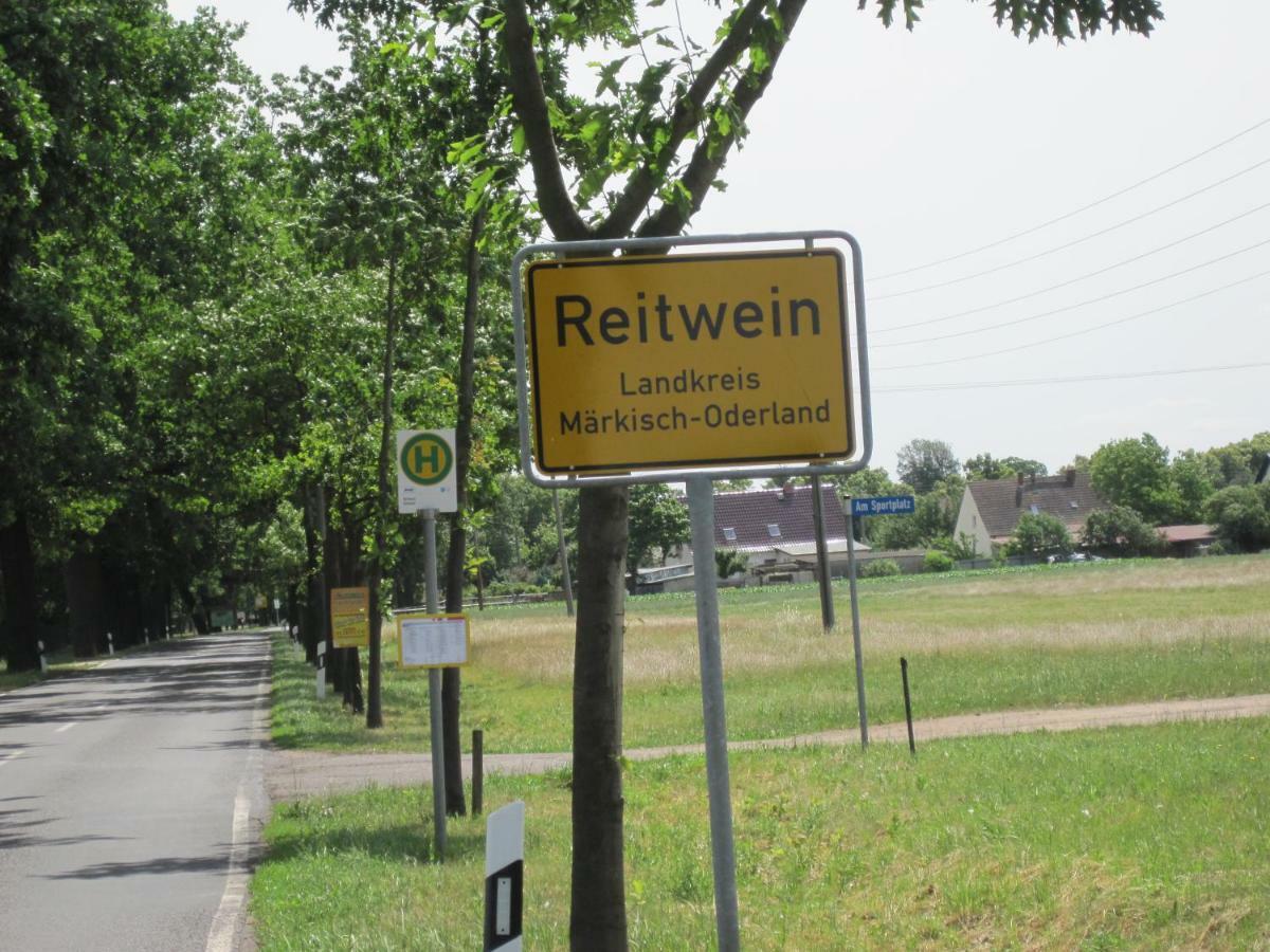Pension Zum Weissen Hirsch Reitwein Kültér fotó