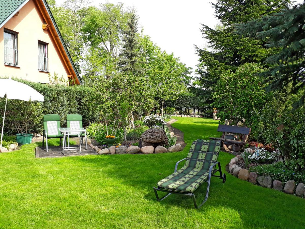 Pension Zum Weissen Hirsch Reitwein Kültér fotó