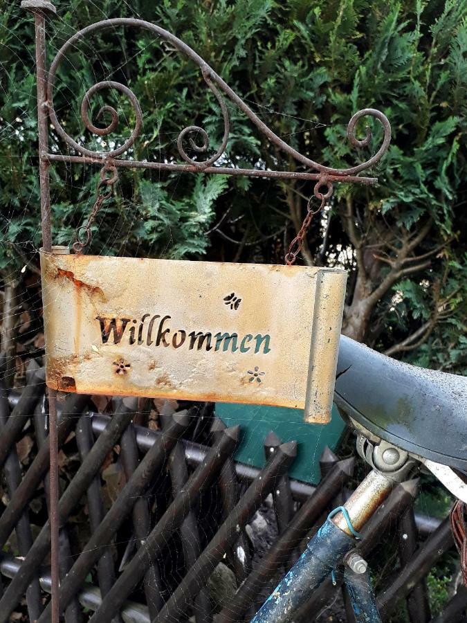 Pension Zum Weissen Hirsch Reitwein Kültér fotó