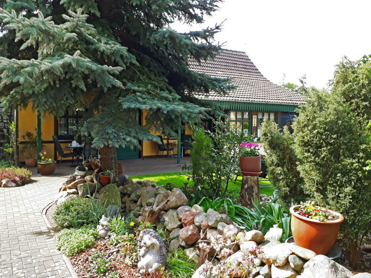 Pension Zum Weissen Hirsch Reitwein Kültér fotó