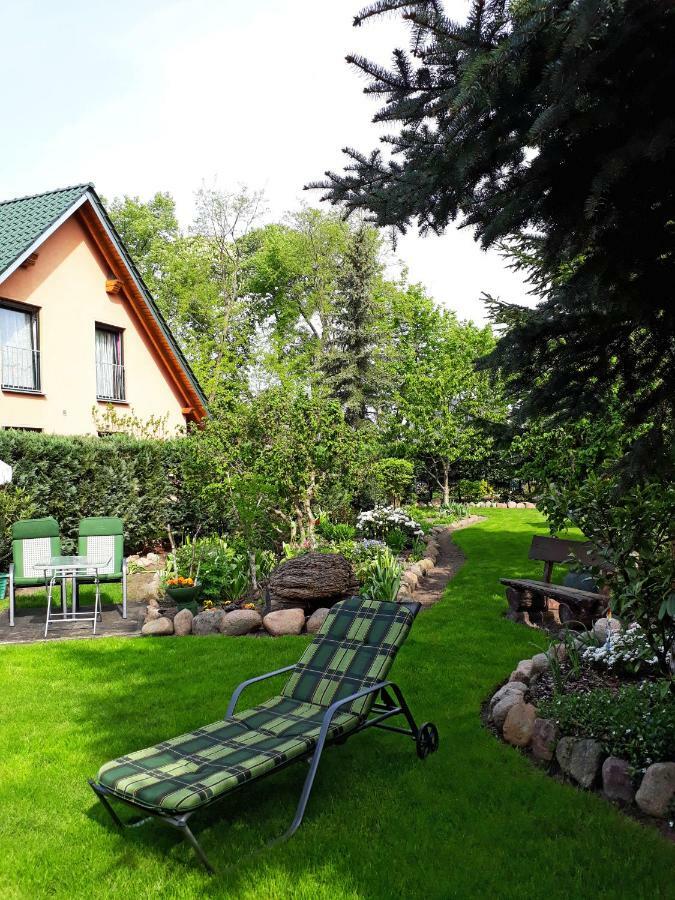 Pension Zum Weissen Hirsch Reitwein Kültér fotó